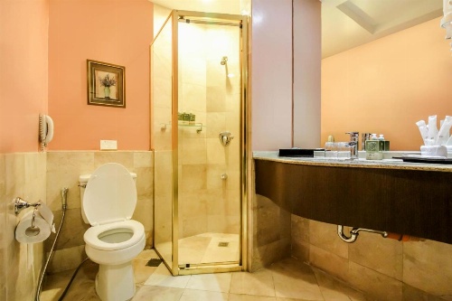 Makati Palace Hotel image 36